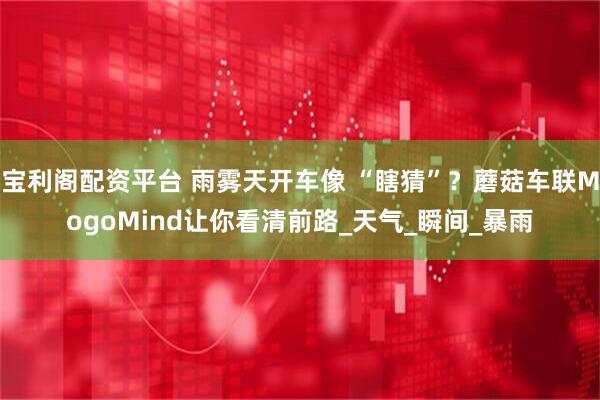 宝利阁配资平台 雨雾天开车像 “瞎猜”？蘑菇车联MogoMind让你看清前路_天气_瞬间_暴雨