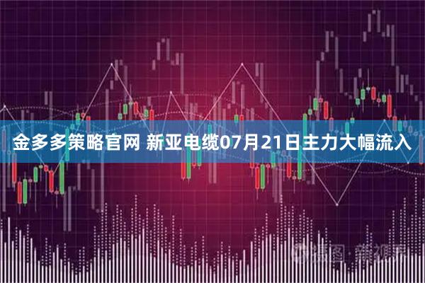 金多多策略官网 新亚电缆07月21日主力大幅流入