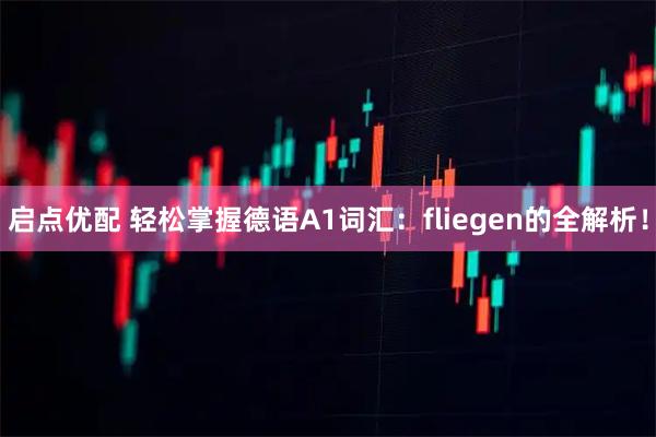 启点优配 轻松掌握德语A1词汇:fliegen的全解析!