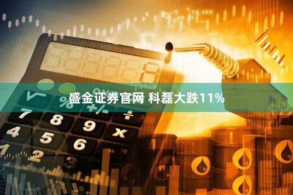 盛金证券官网 科磊大跌11%