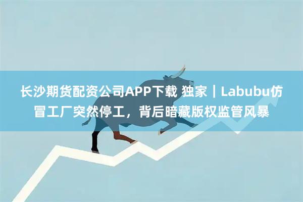 长沙期货配资公司APP下载 独家｜Labubu仿冒工厂突然停工，背后暗藏版权监管风暴