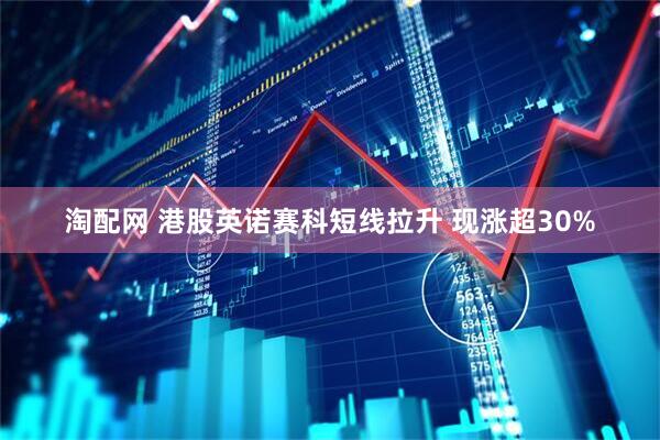 淘配网 港股英诺赛科短线拉升 现涨超30%
