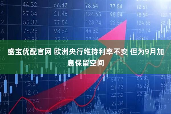 盛宝优配官网 欧洲央行维持利率不变 但为9月加息保留空间